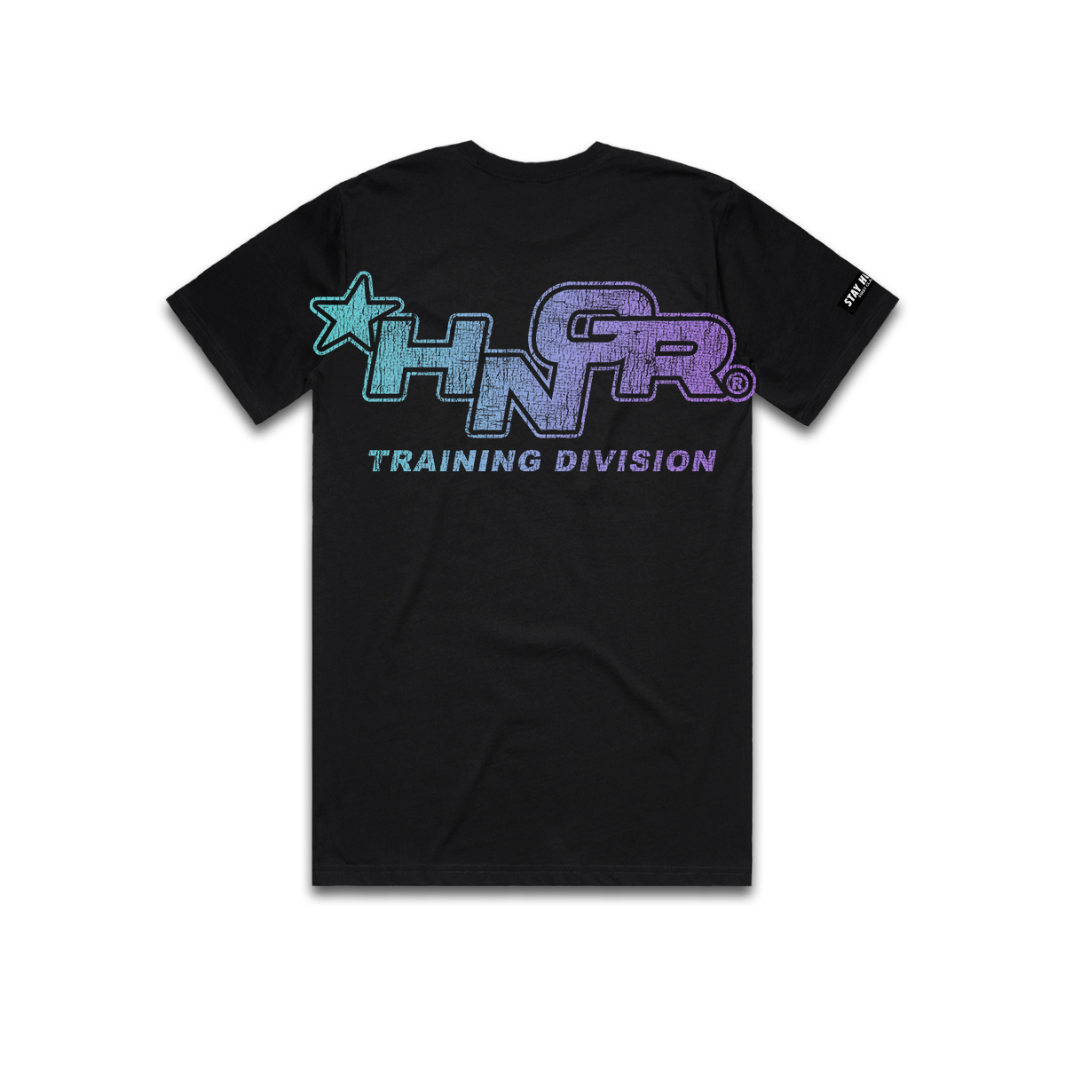 HNGR TRAINING DIVISION - Premium Regular Tee (Black)