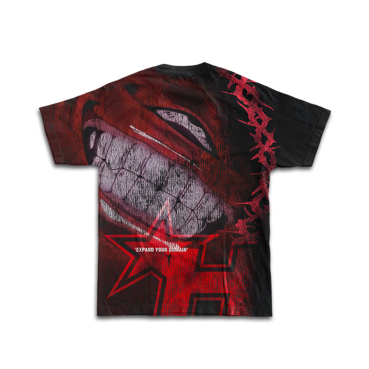 PREVENTA - EXPAND YOUR DOMAIN - MALEVOLENT REIGN - Premium Oversize Tee (HEAVYWEIGHT - Black)