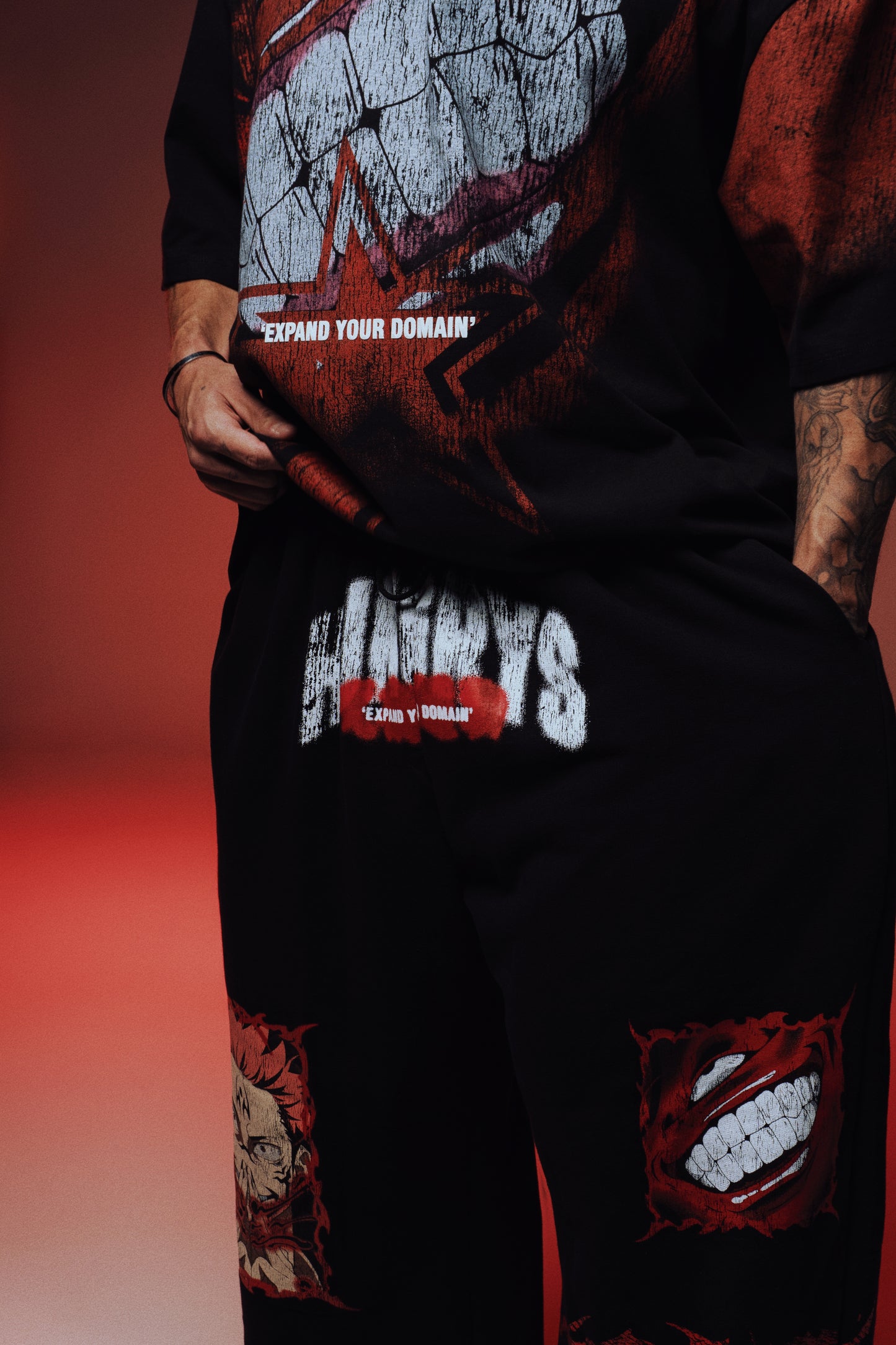 EXPAND YOUR DOMAIN - MALEVOLENT REIGN - Premium Oversize Tee (HEAVYWEIGHT - Black)