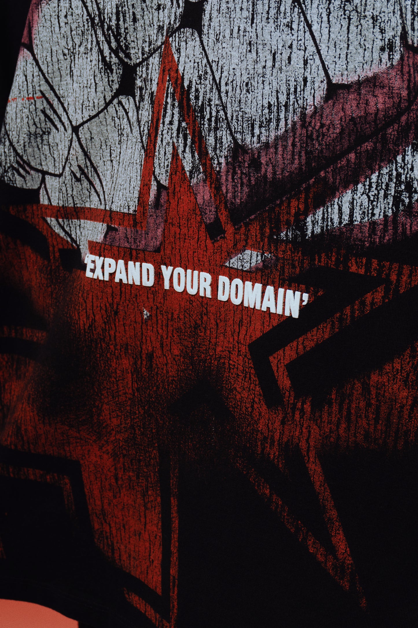 EXPAND YOUR DOMAIN - MALEVOLENT REIGN - Premium Oversize Tee (HEAVYWEIGHT - Black)