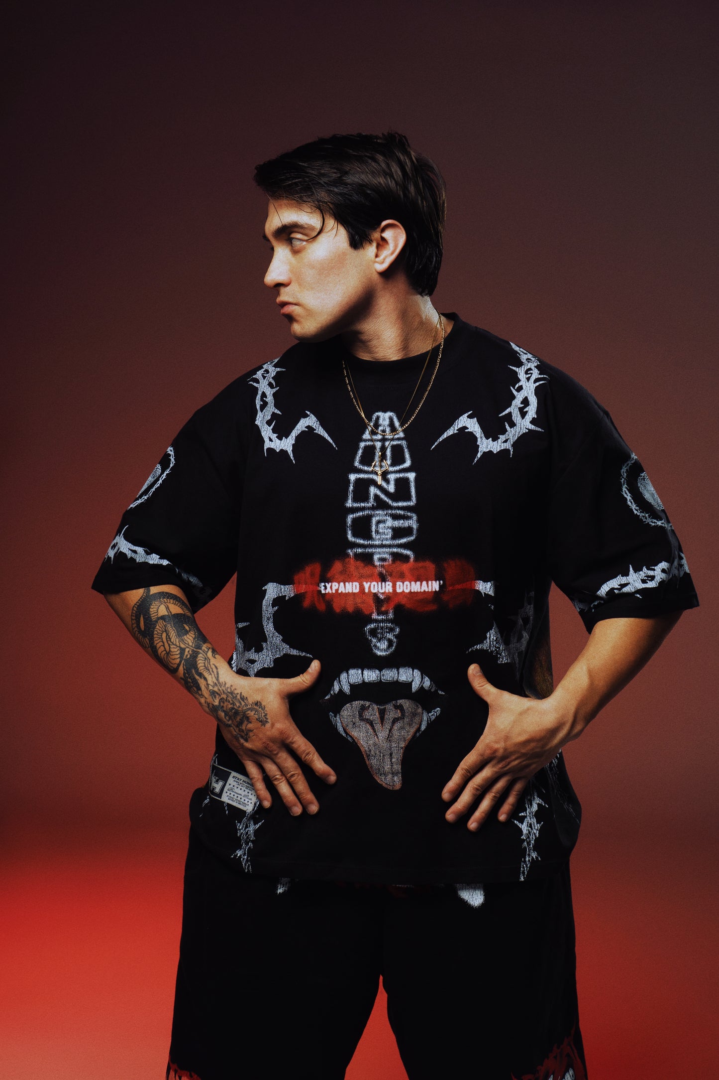 EXPAND YOUR DOMAIN - MALEVOLENT SHRINE - Premium Oversize Tee (HEAVYWEIGHT - Black)