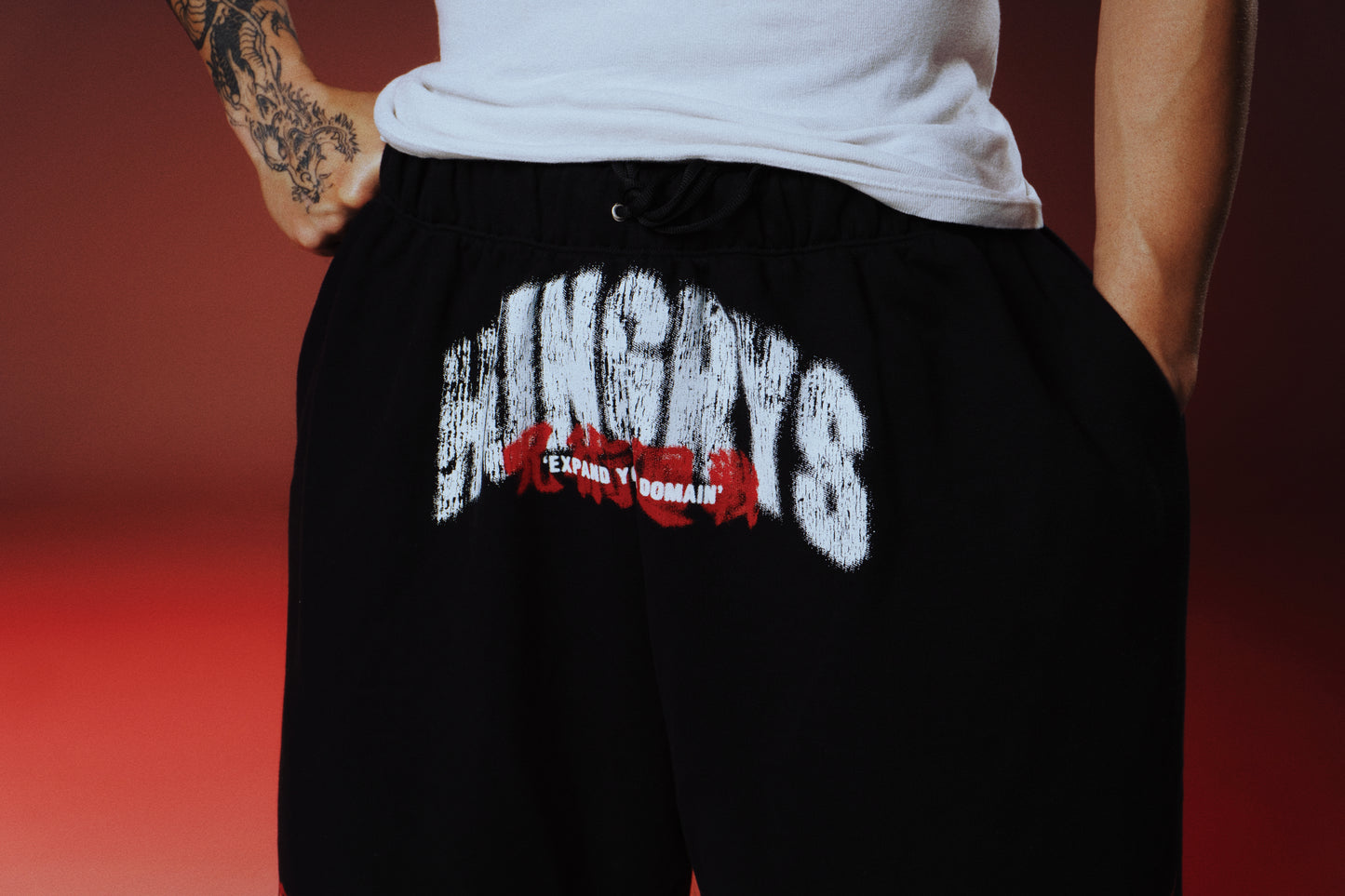 EXPAND YOUR DOMAIN - MALEVOLENT SHRINE - Premium Oversize Pants (HEAVYWEIGHT - Black)