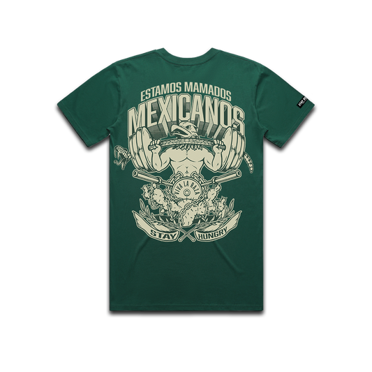 ESTAMOS MAMADOS MEXICANOS - Premium Regular Tee (Jade)