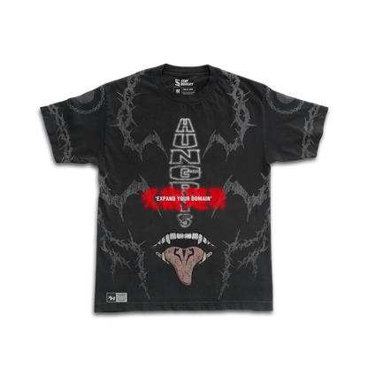 PREVENTA - EXPAND YOUR DOMAIN - MALEVOLENT SHRINE - Premium Oversize Tee (HEAVYWEIGHT - Black)