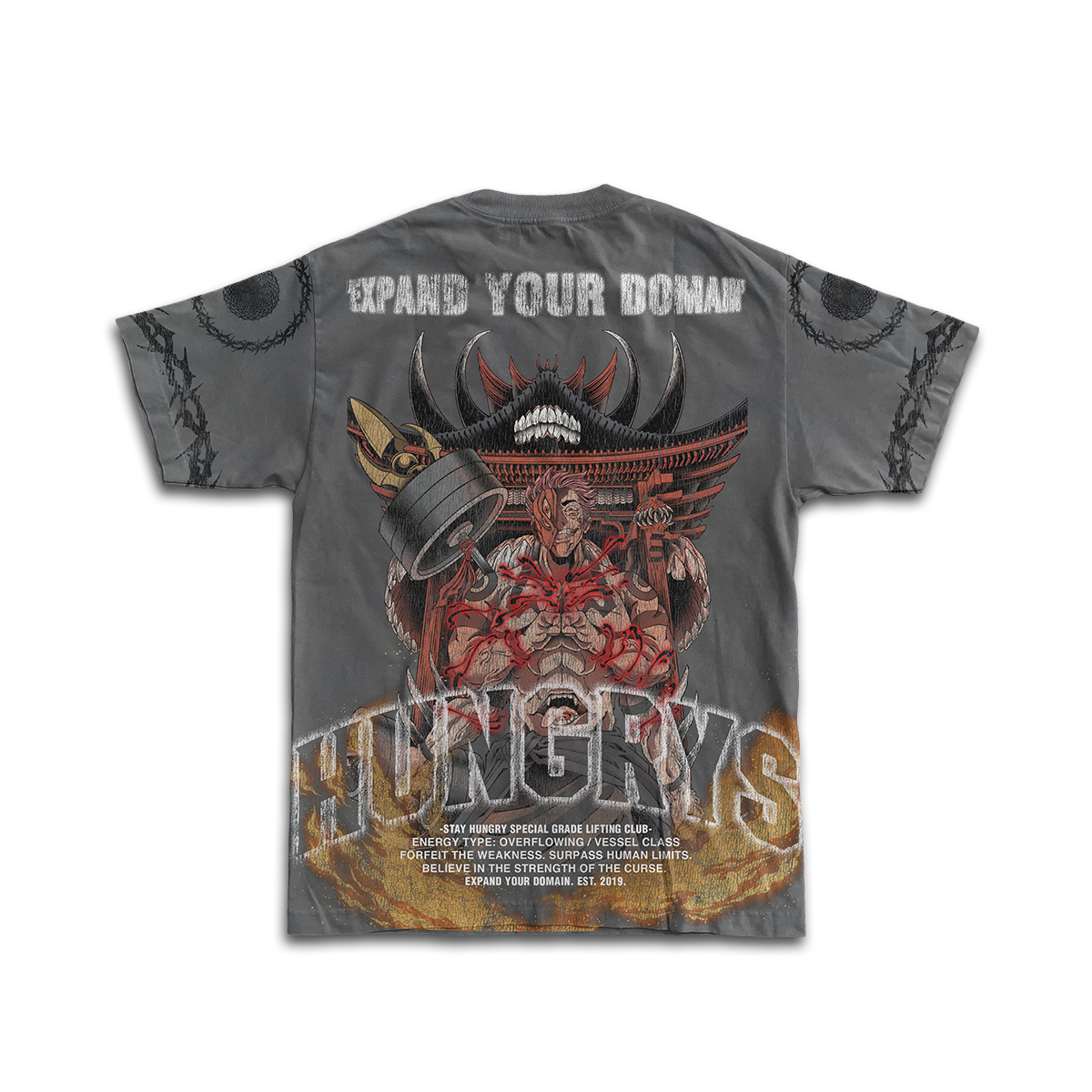 PREVENTA - EXPAND YOUR DOMAIN - MALEVOLENT SHRINE - Premium Oversize Tee (HEAVYWEIGHT - Shark Gray)